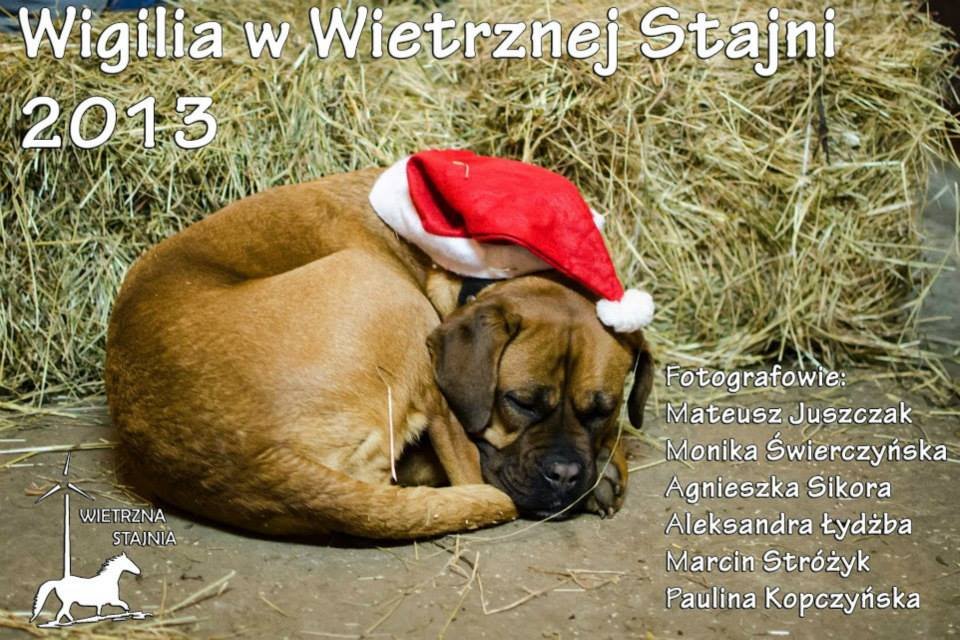 wigilia2013wwietrznejstajni.jpg